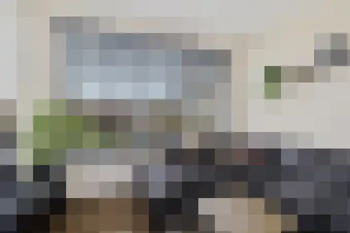Spitael 57 Drachten thumbnail 14