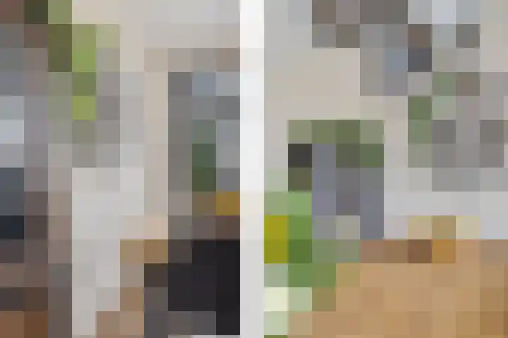 Spitael 57 Drachten thumbnail 22
