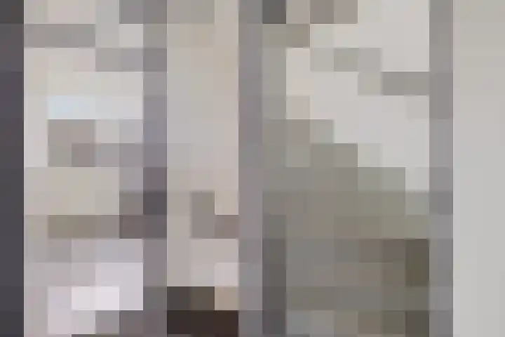 Spitael 57 Drachten thumbnail 31