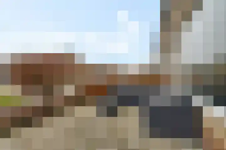 Spitael 57 Drachten thumbnail 4