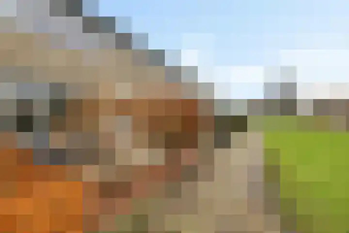 Spitael 57 Drachten thumbnail 8