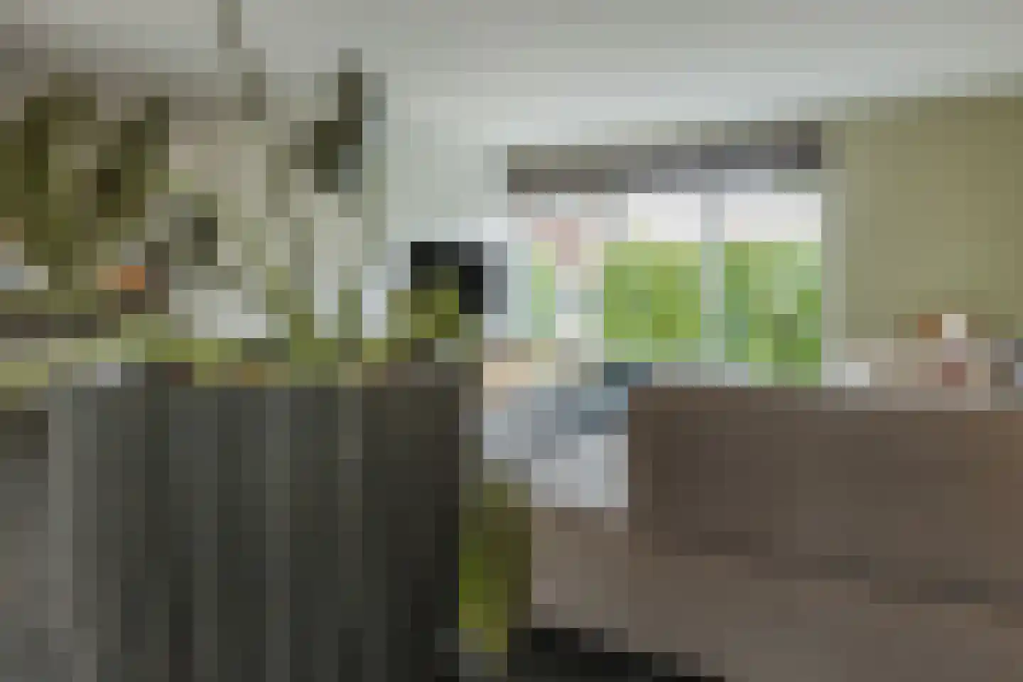 Spits 4 Bergen op Zoom thumbnail 13
