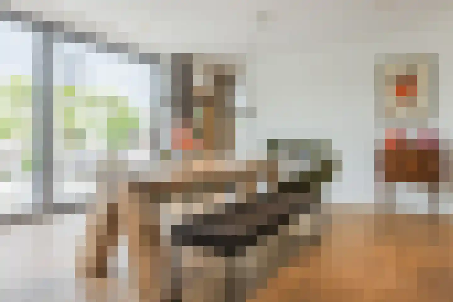 Spits 4 Bergen op Zoom thumbnail 16