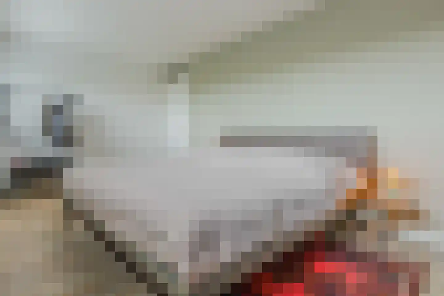 Spits 4 Bergen op Zoom thumbnail 30
