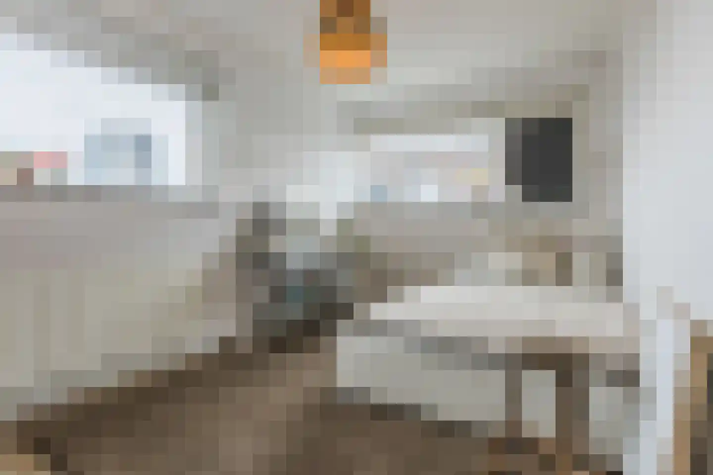 Spits 4 Bergen op Zoom thumbnail 32
