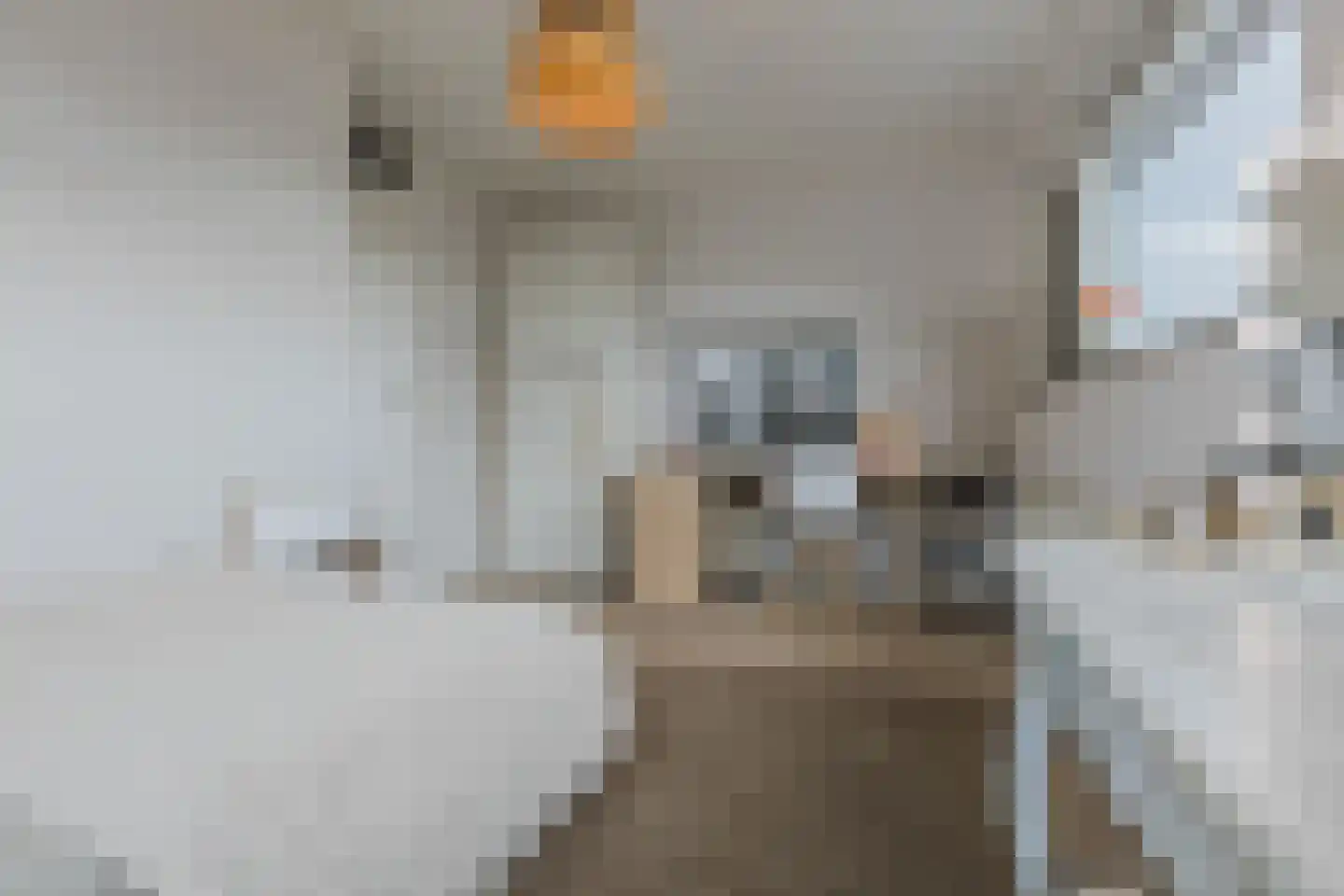 Spits 4 Bergen op Zoom thumbnail 34