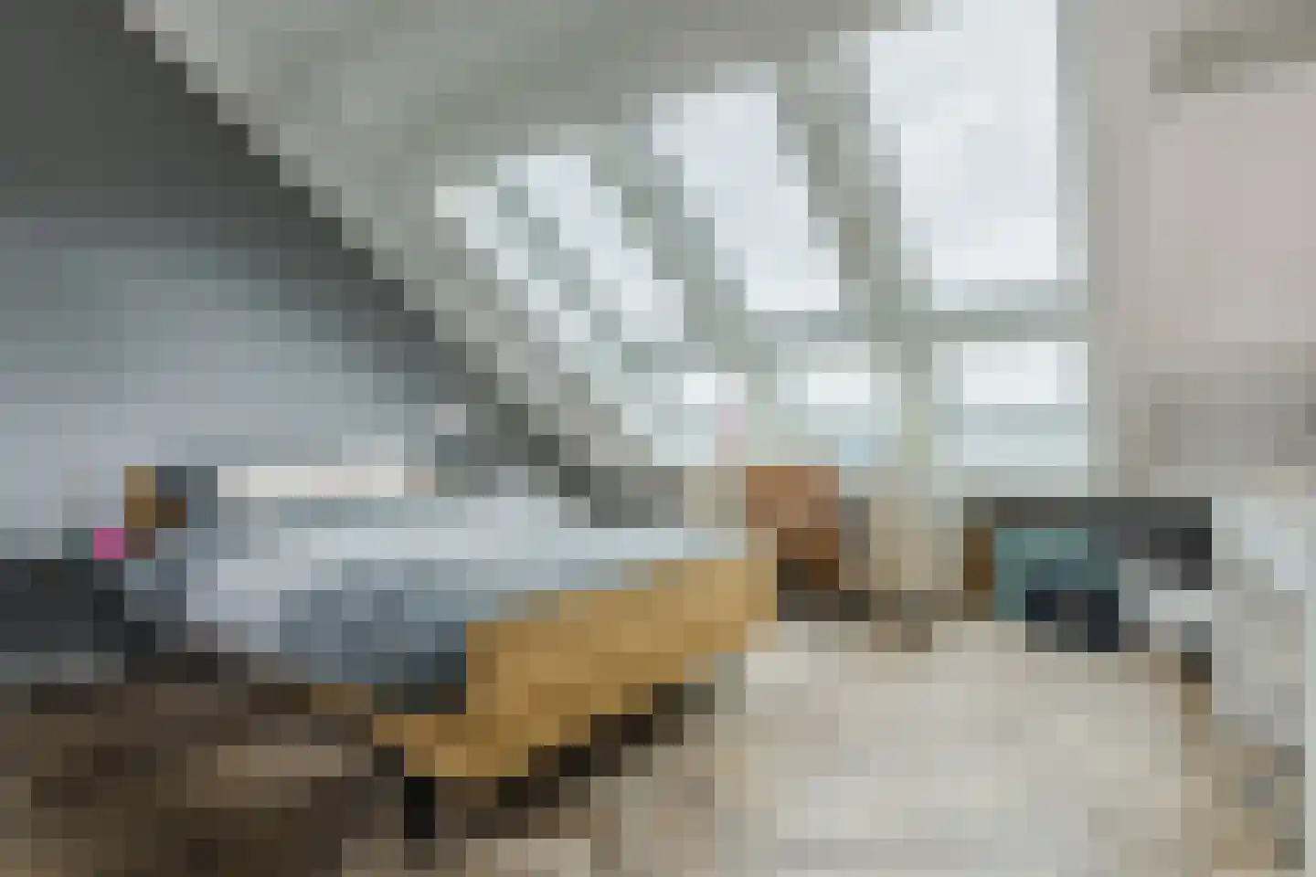 Spits 4 Bergen op Zoom thumbnail 46