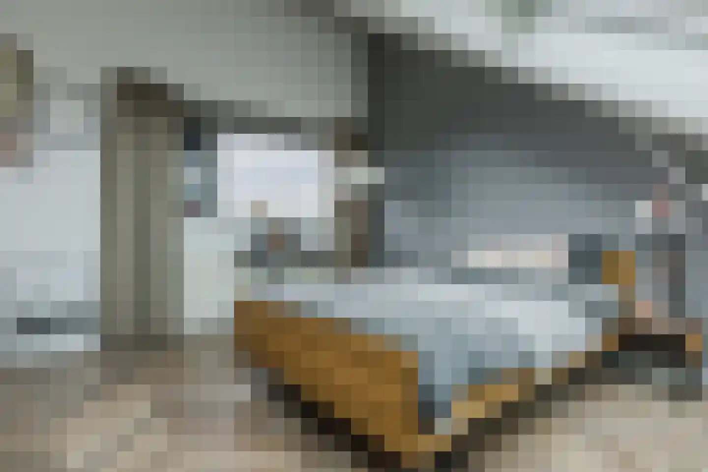 Spits 4 Bergen op Zoom thumbnail 47