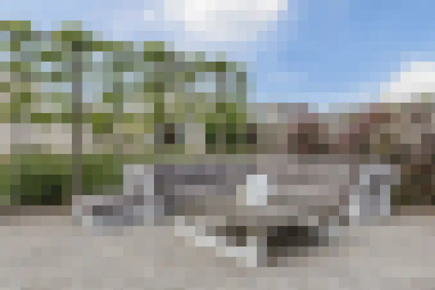 Spits 4 Bergen op Zoom thumbnail 55