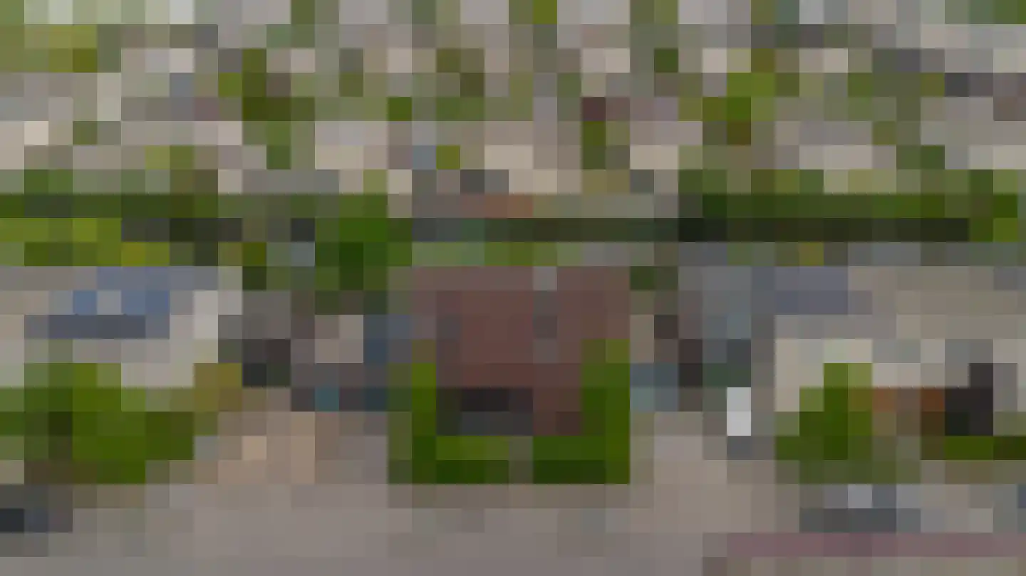 Spits 4 Bergen op Zoom thumbnail 63