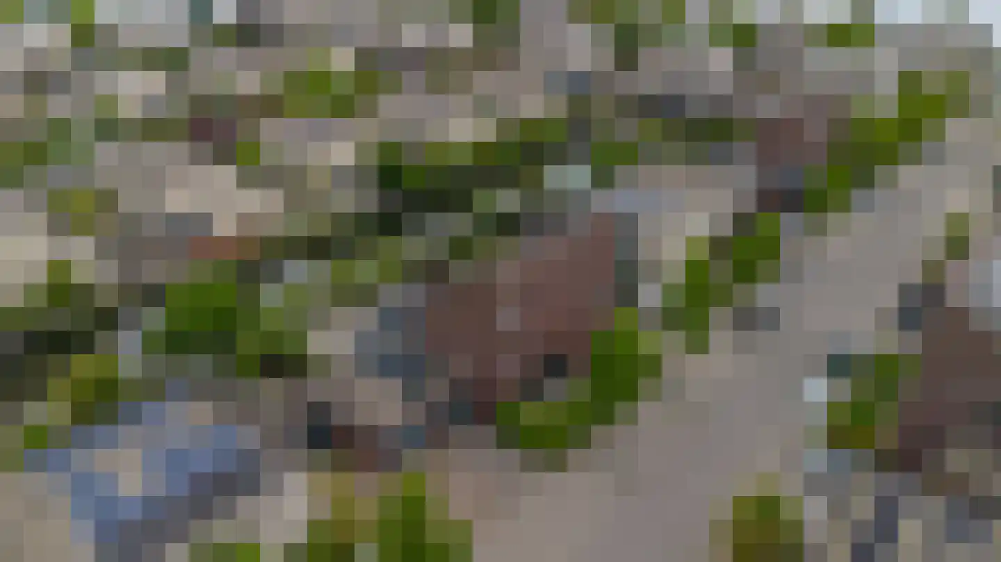 Spits 4 Bergen op Zoom thumbnail 64