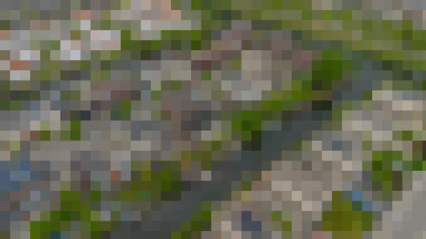 Spits 4 Bergen op Zoom thumbnail 71