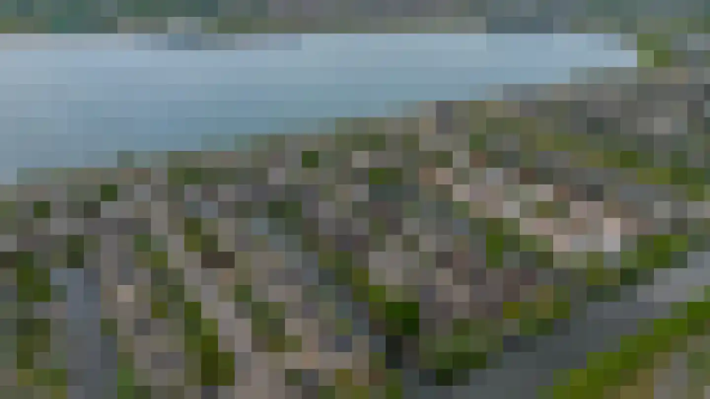 Spits 4 Bergen op Zoom thumbnail 72