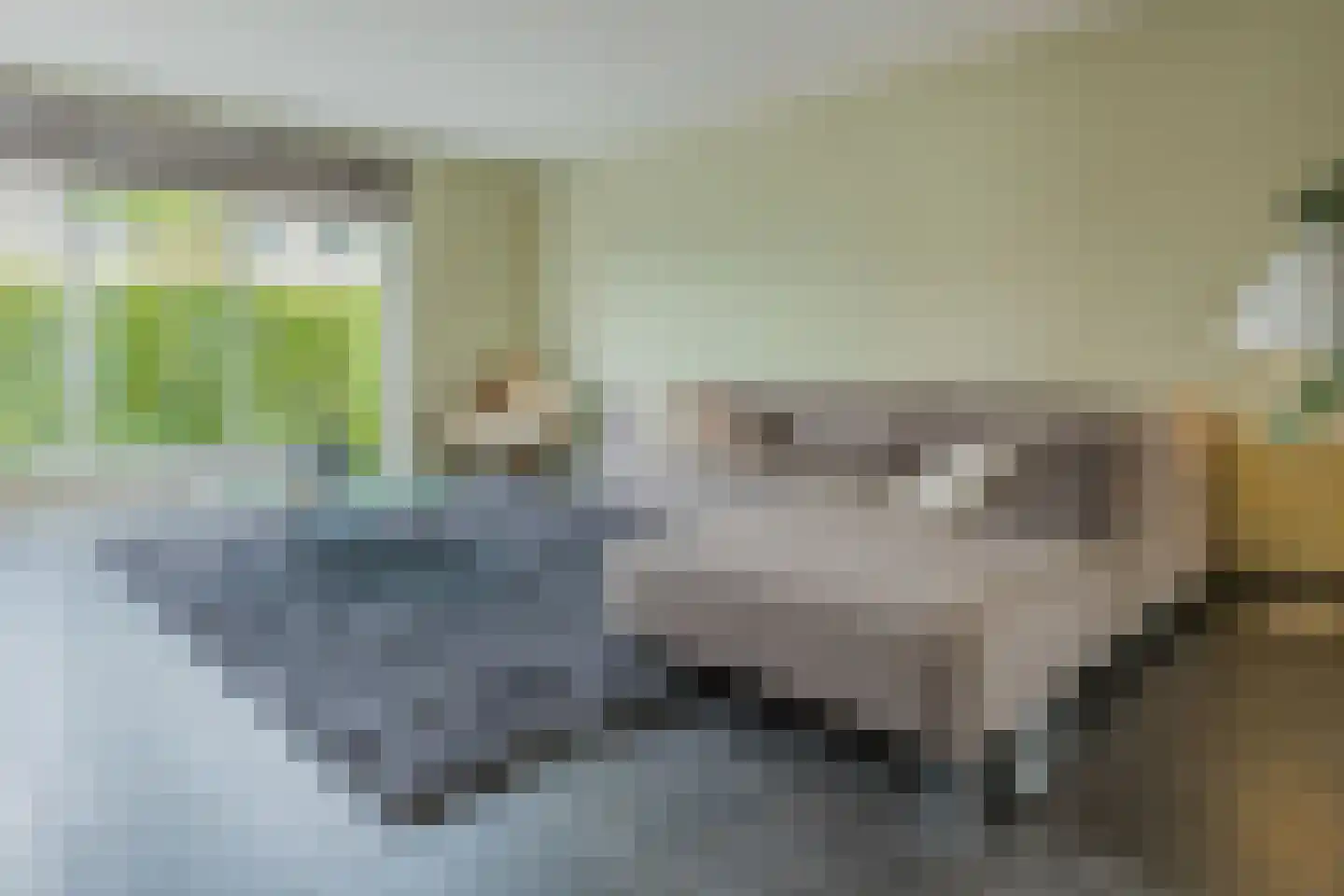 Spits 4 Bergen op Zoom thumbnail 9