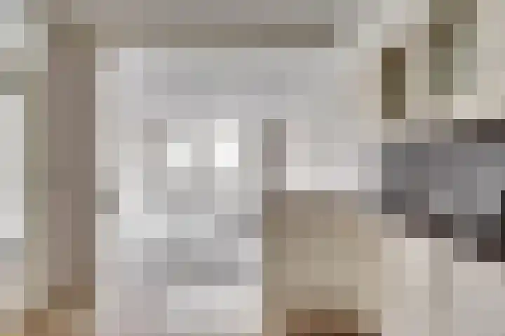Spits 72 Barendrecht thumbnail 8