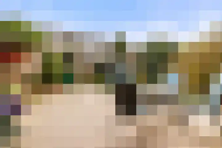 Spitsaak 79 Velserbroek thumbnail 26