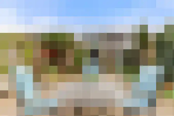 Spitsaak 79 Velserbroek thumbnail 31