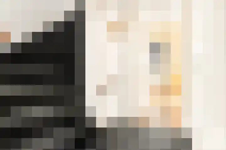 Spitsaak 79 Velserbroek thumbnail 37
