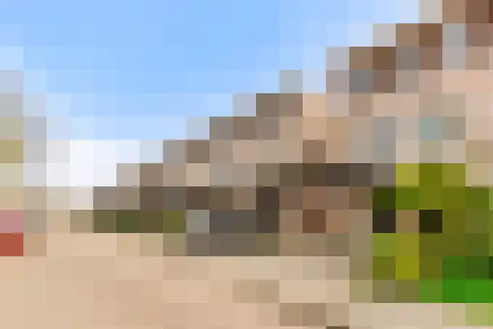 Spitsaak 79 Velserbroek thumbnail 7