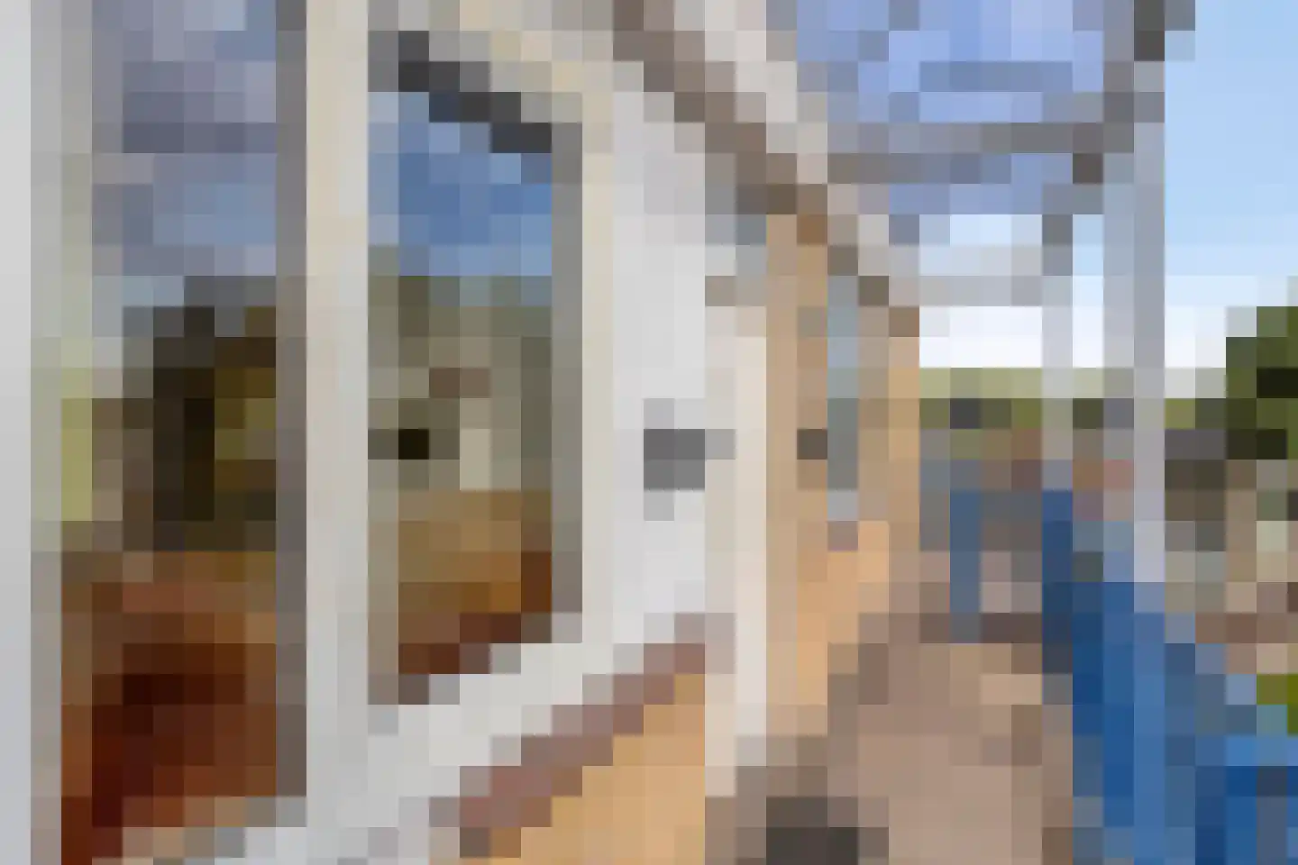 Spitsbergen 22 Zaandam thumbnail 8