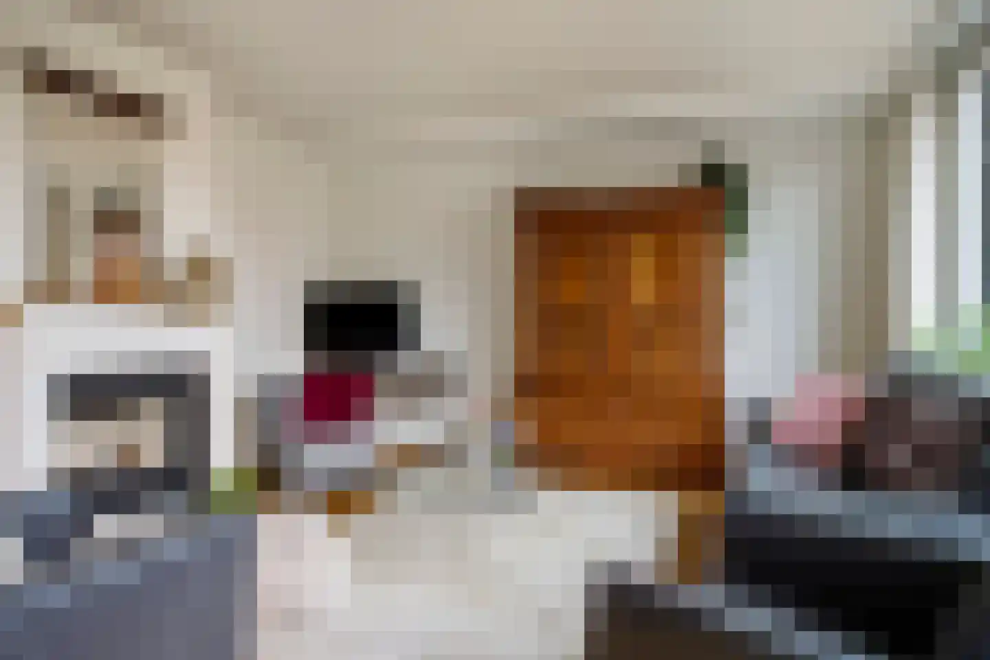 Spitsbergen 28 Krimpen aan de Lek thumbnail 14