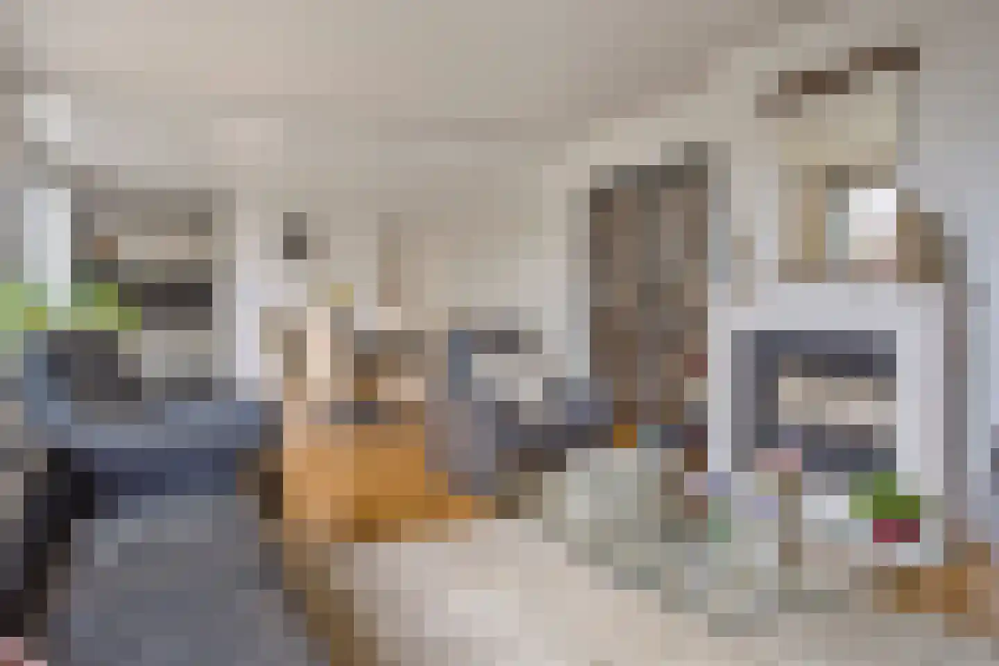 Spitsbergen 28 Krimpen aan de Lek thumbnail 15