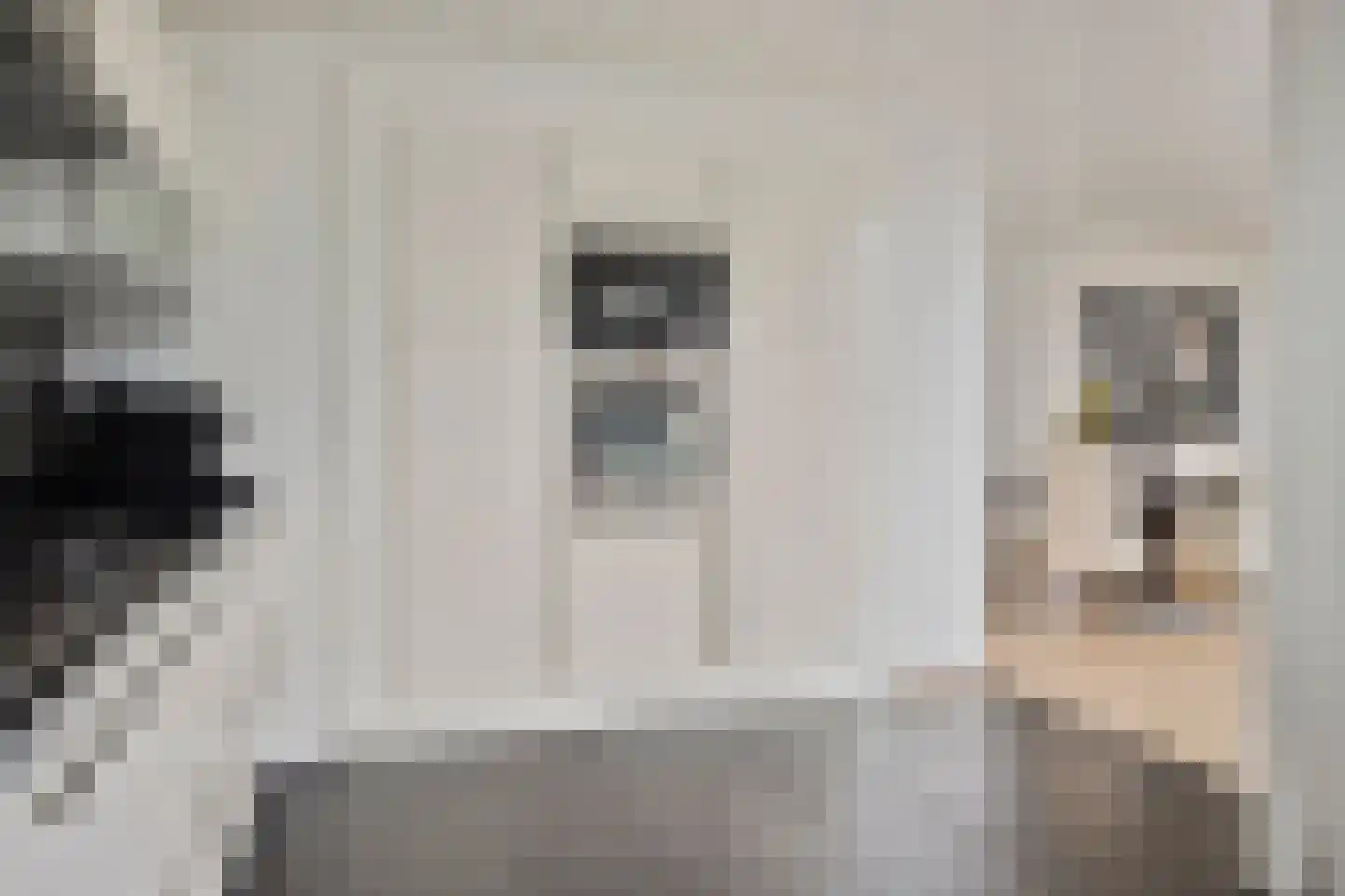 Spitsbergen 28 Krimpen aan de Lek thumbnail 23