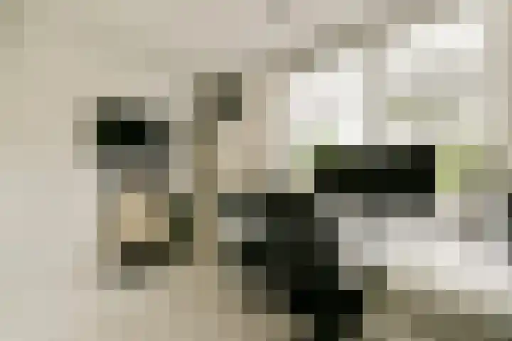 Spitsbergen 55 Almere thumbnail 18