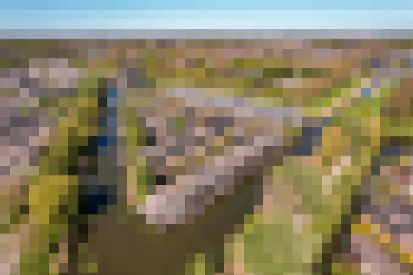 Spitsbergen 79 Almere thumbnail 5