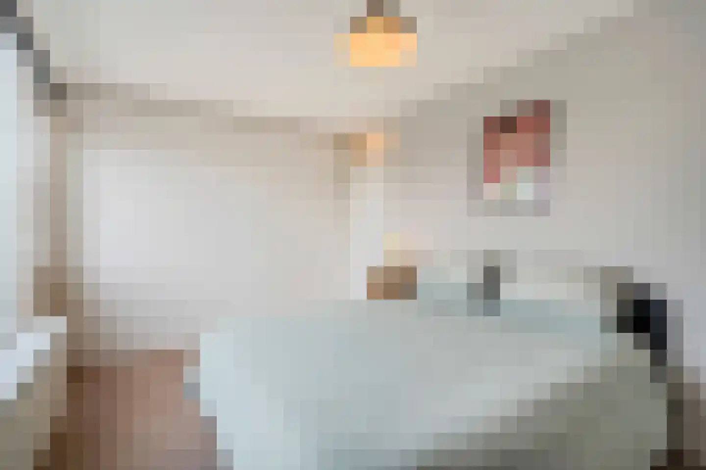 Spitsbergenstraat 101 Amsterdam thumbnail 15