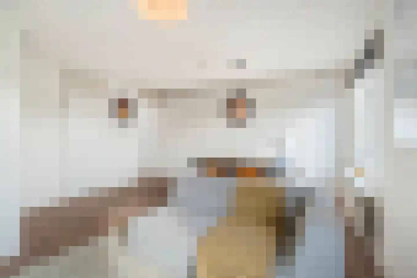 Spitsbergenstraat 101 Amsterdam thumbnail 8
