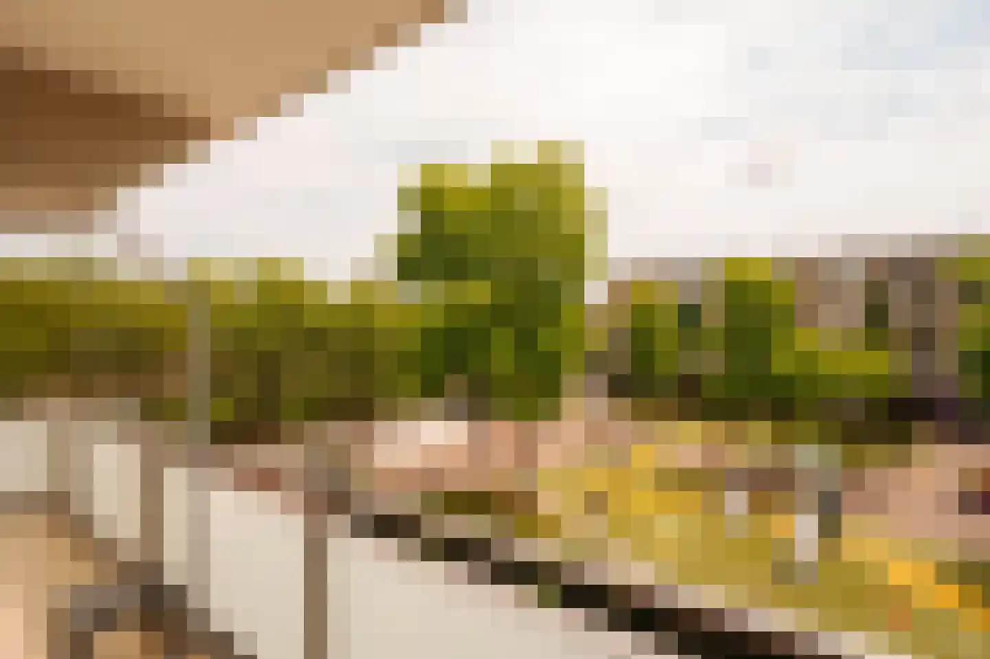 Spitsbergenstraat 87 Amsterdam thumbnail 6