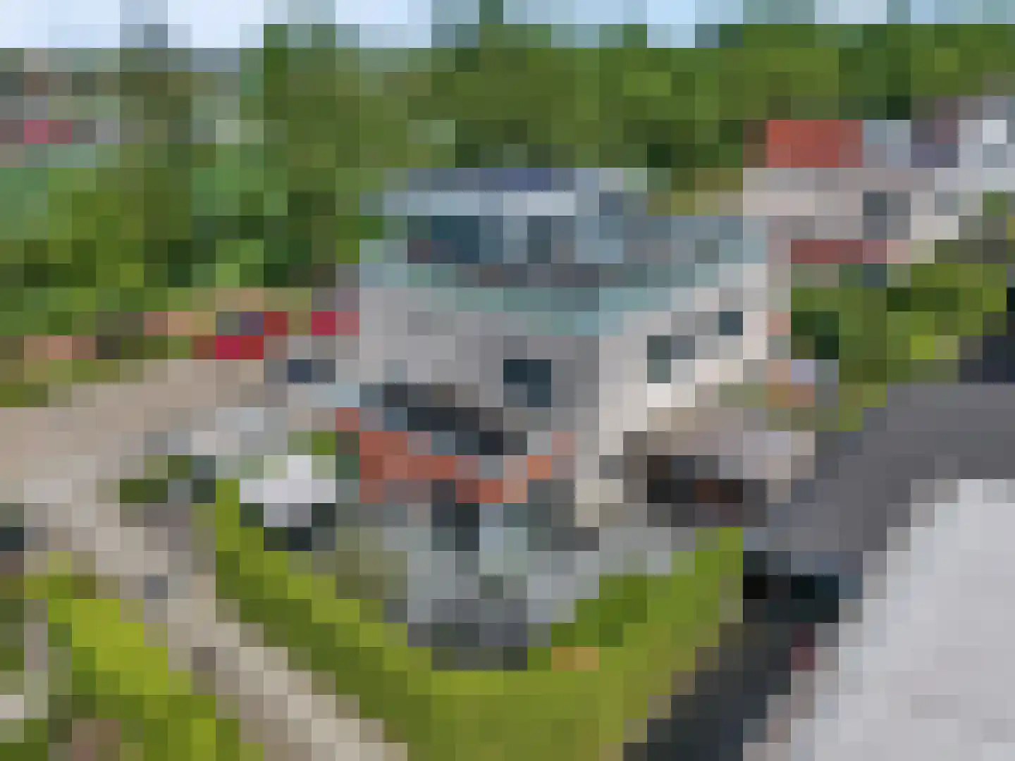 Spitsbergenweg 13 Veenendaal thumbnail 39