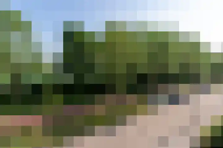 Spitsbergenweg 47 Veenendaal thumbnail 36