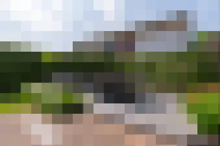 Spitsbergenweg 47 Veenendaal thumbnail 37