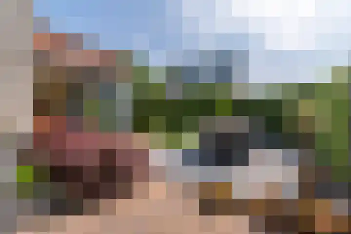 Spitsbergenweg 47 Veenendaal thumbnail 42