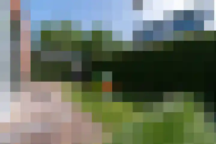 Spitsbergenweg 47 Veenendaal thumbnail 44