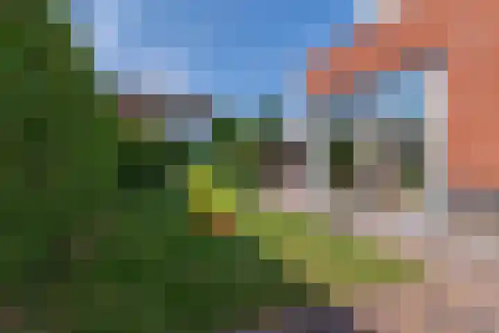 Spitsbergenweg 47 Veenendaal thumbnail 45
