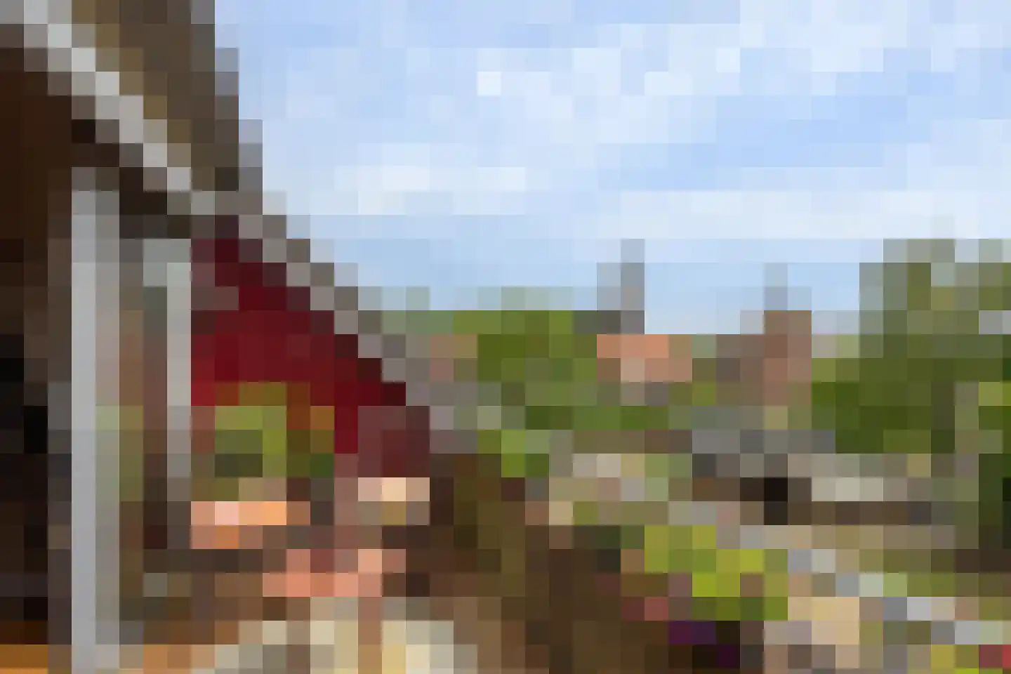 Spitsbergerpad 15 Rhenen thumbnail 13