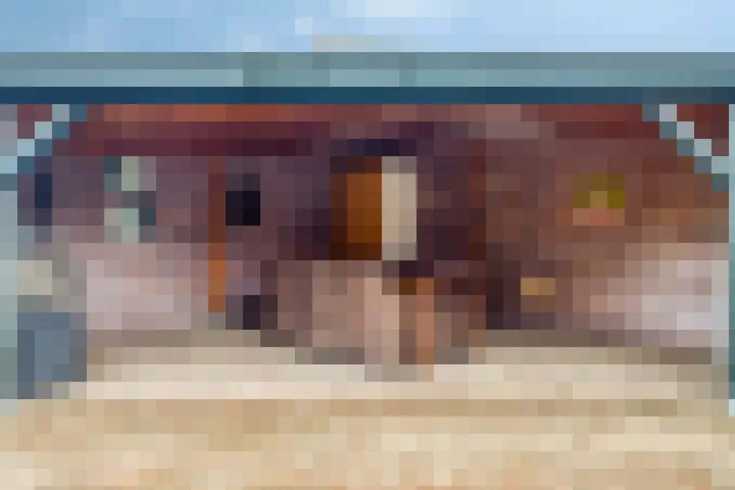 Spitsbergerweg 3 Oss thumbnail 37