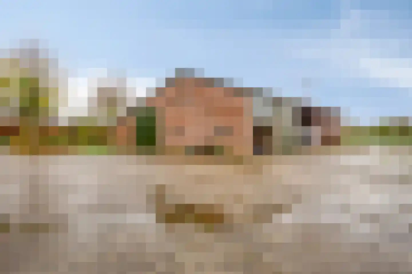 Spitsbergerweg 3 Oss thumbnail 44
