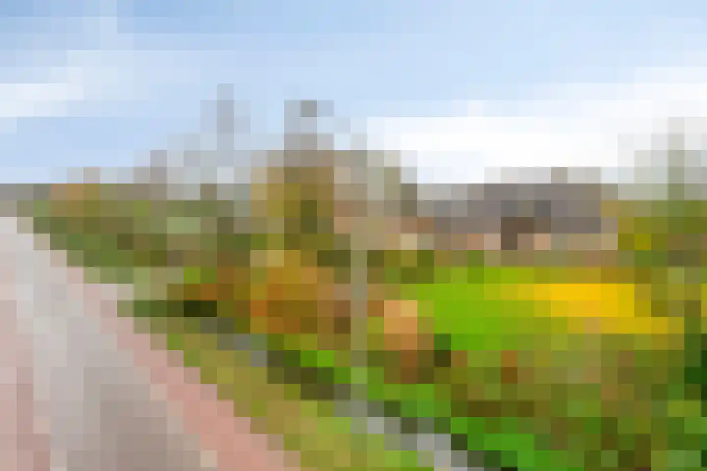 Spitsbergerweg 3 Oss thumbnail 8