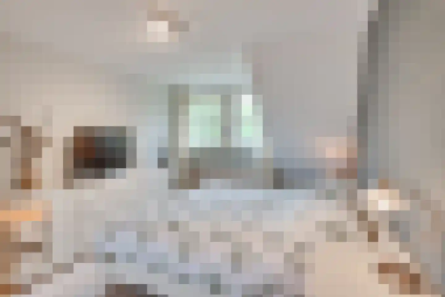 Spitsen 7 Uden thumbnail 20