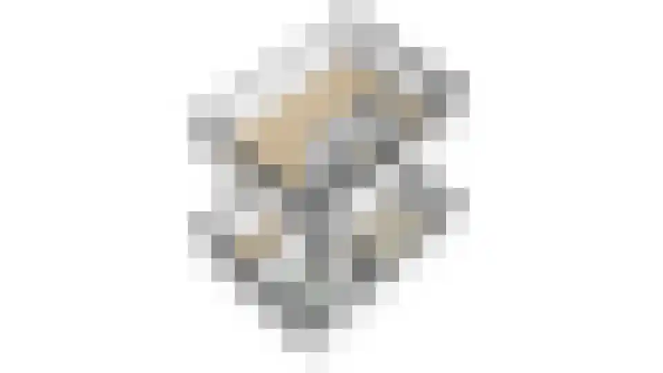 Spitsen 7 Uden thumbnail 26