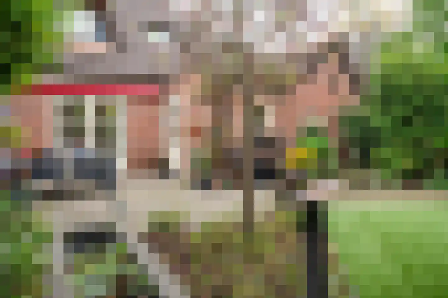 Spitsen 7 Uden thumbnail 7