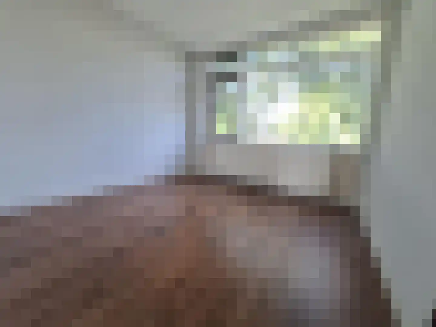 Spitsenhagen 69 Rotterdam thumbnail 15