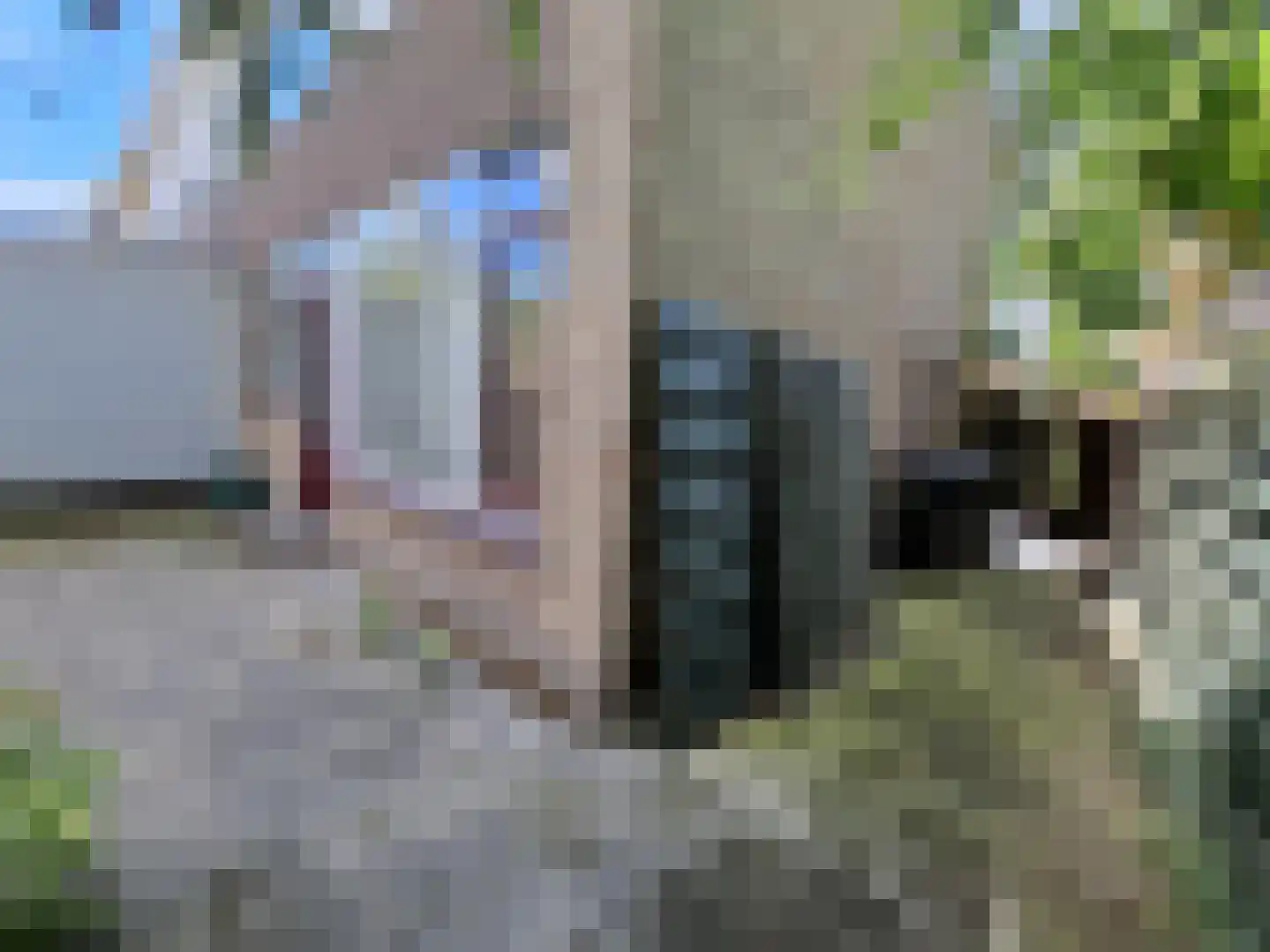 Spitsenhagen 69 Rotterdam thumbnail 4