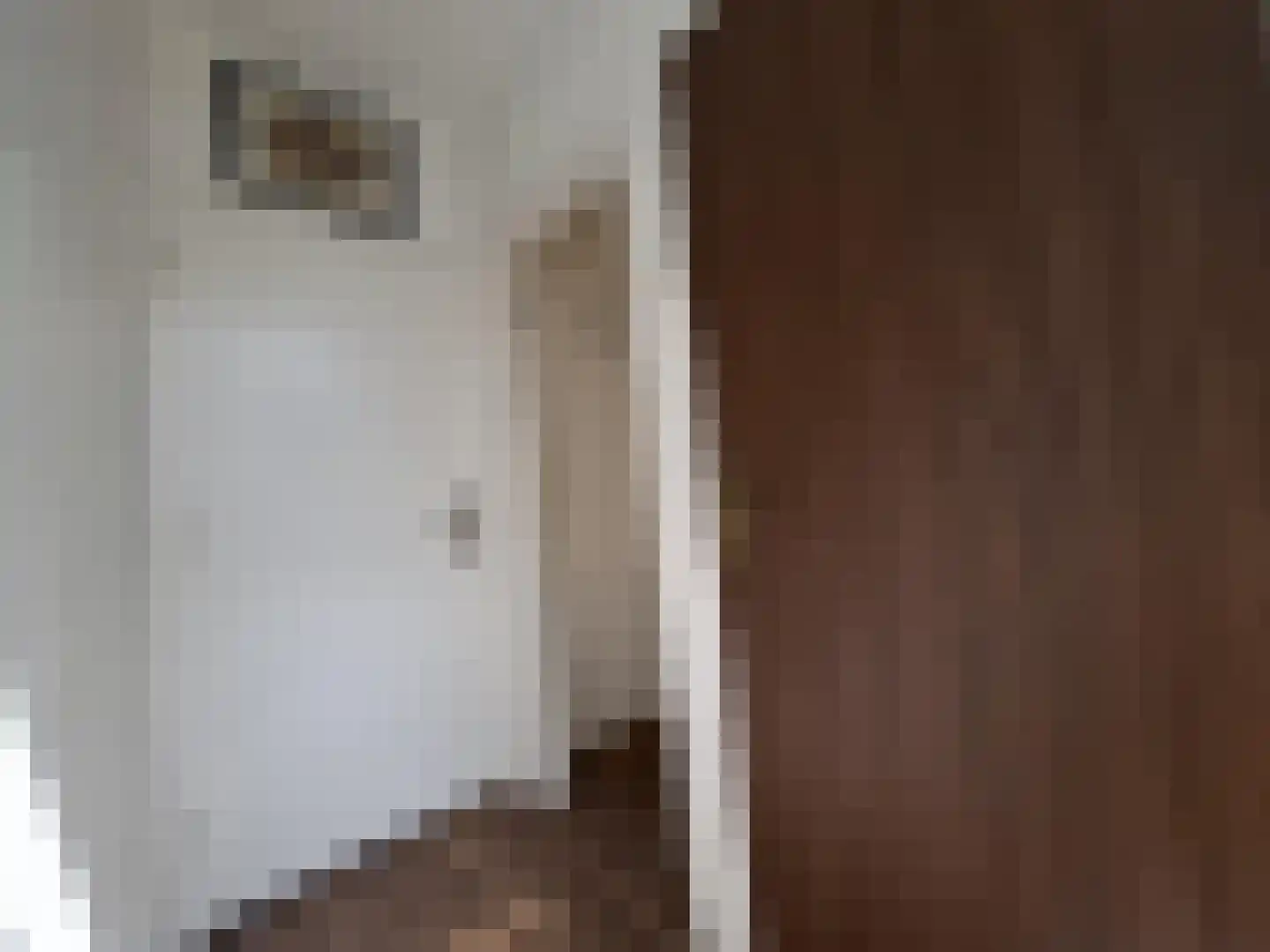 Spitsenhagen 69 Rotterdam thumbnail 6