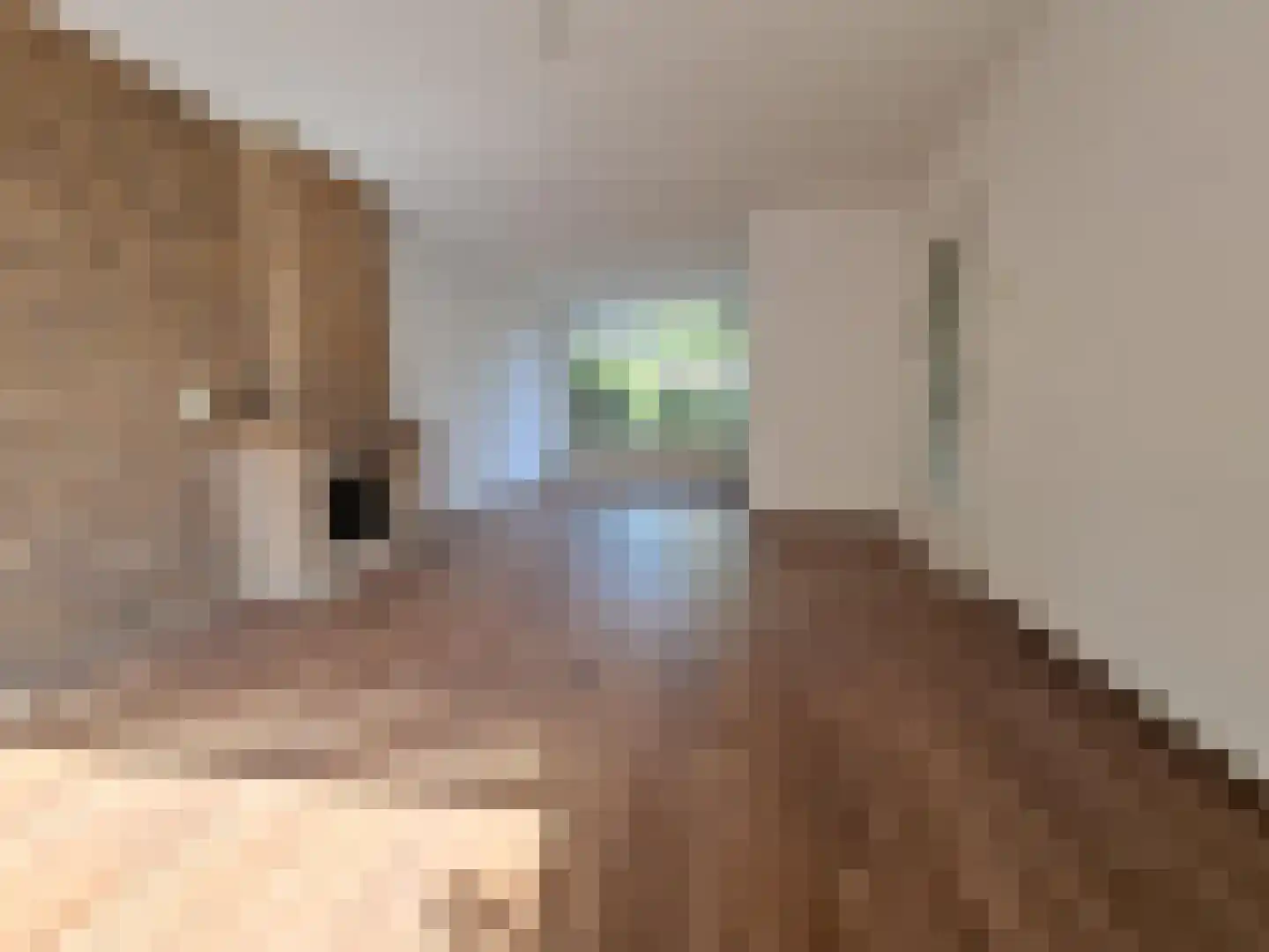 Spitsenhagen 69 Rotterdam thumbnail 9