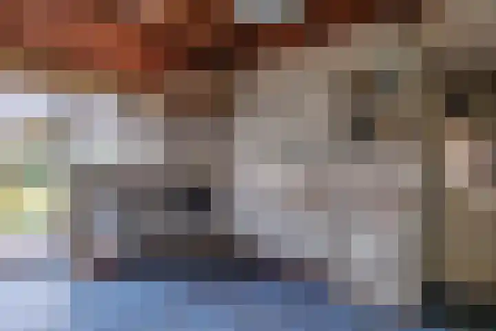 Spitsestraat 1 Appeltern thumbnail 20